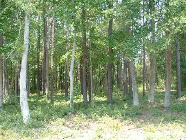 Lot 7 Luck Avenue Little River, SC 29566 - Photo 6 of 6