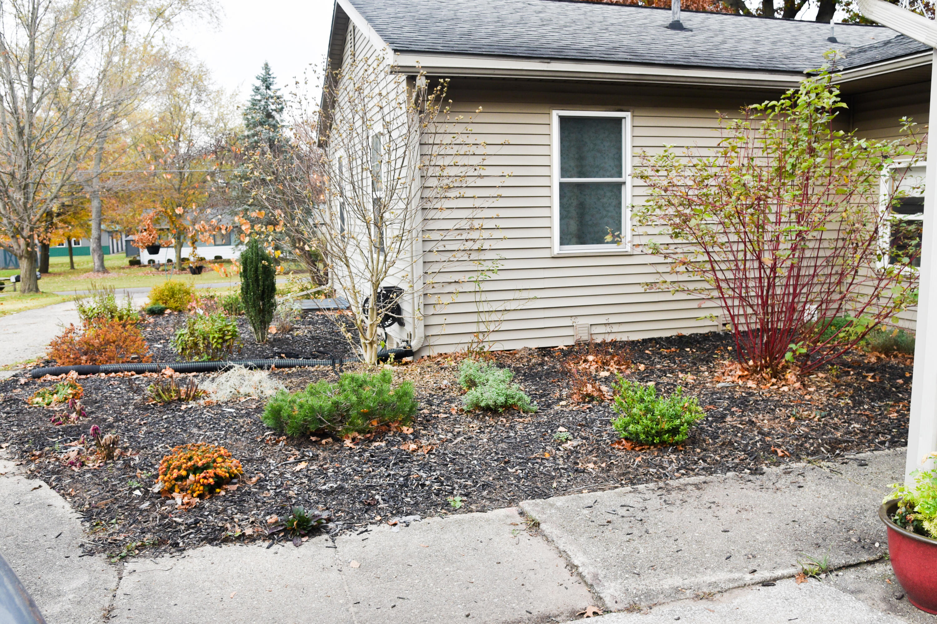 43179 Parkhurst Drive Decatur, MI 49045 - Photo 98 of 106 DSC_8189