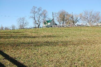 704 Sebree Road Stamping Ground, KY 40379 - Photo 5 of 6 Photo 5