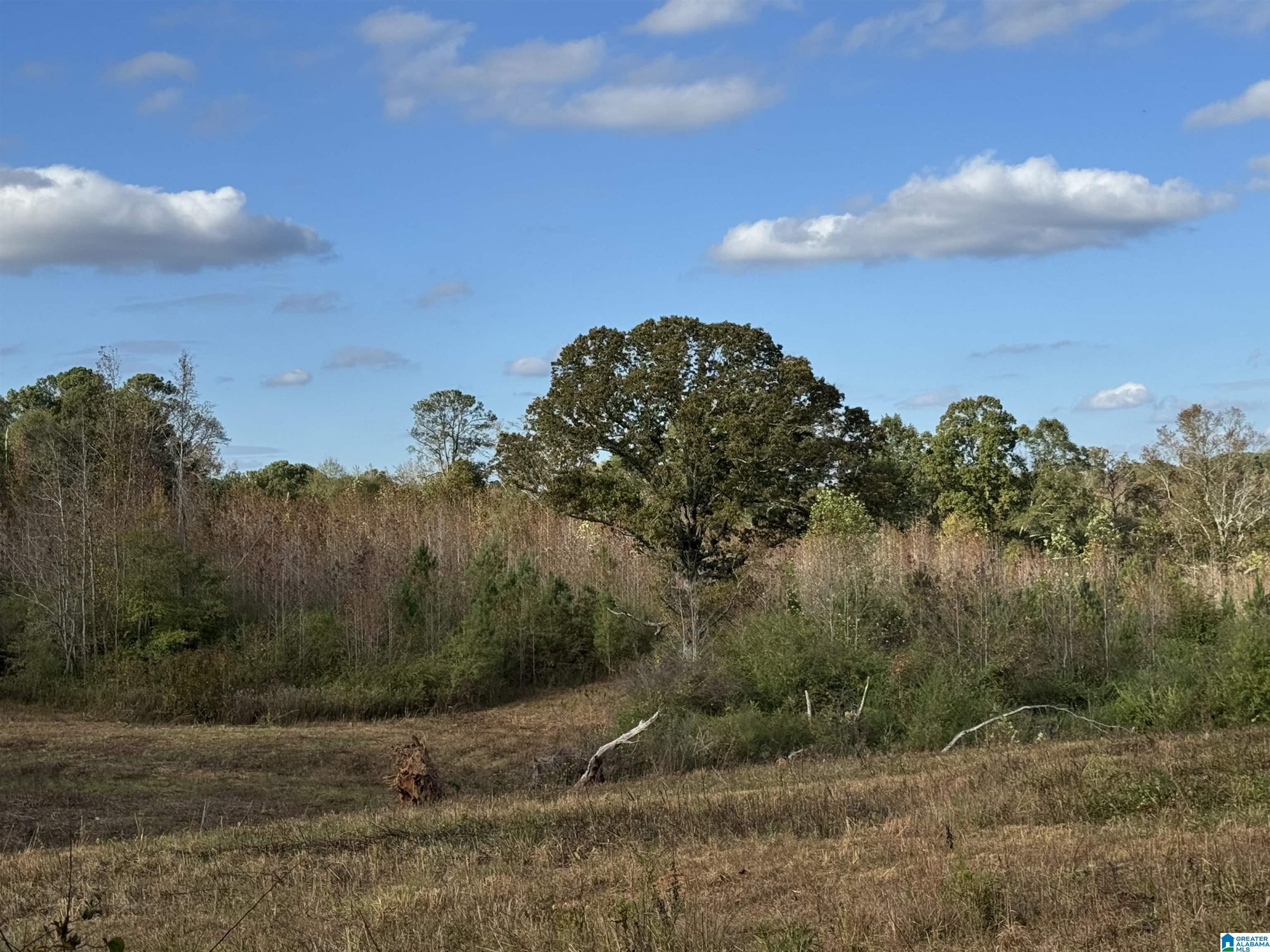 2518 Oak Grove Road Lineville, AL 36266 - Photo 24 of 48 Gallery Image 24