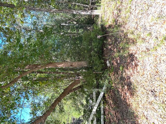 1 Acorn Lane, Unit A Santee, SC 29142 - Photo 2 of 8