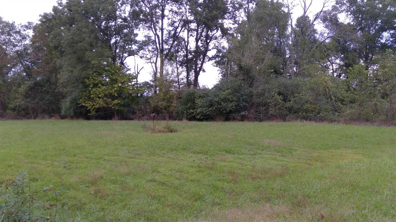 150 McHone Lane Decatur, TN 37322 - Photo 20 of 42 Gallery Image 20