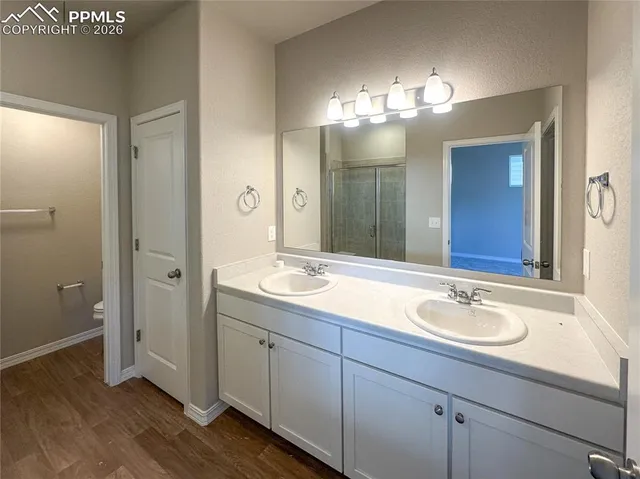 a bathroom with a sink a mirror and a shower