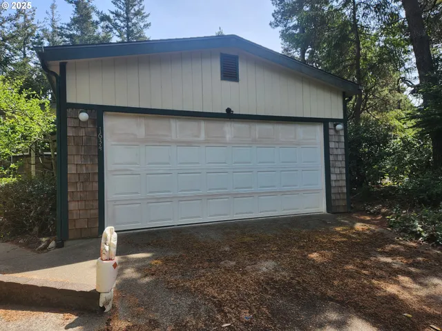 a plant view in yard