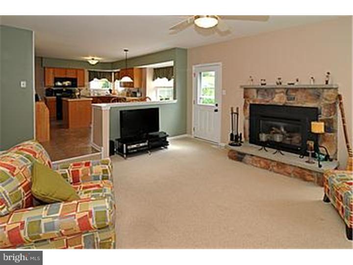 115 Strassburger Road Perkasie, PA 18944 - Photo 12 of 25 Family Room