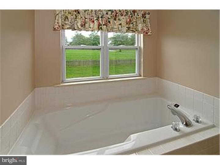 115 Strassburger Road Perkasie, PA 18944 - Photo 15 of 25 Master Bathroom