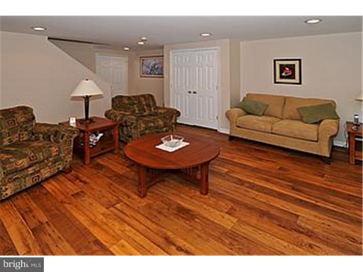 115 Strassburger Road Perkasie, PA 18944 - Photo 20 of 25 Basement - Finished