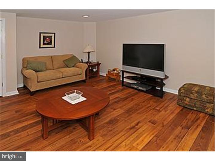 115 Strassburger Road Perkasie, PA 18944 - Photo 21 of 25 Basement - Finished