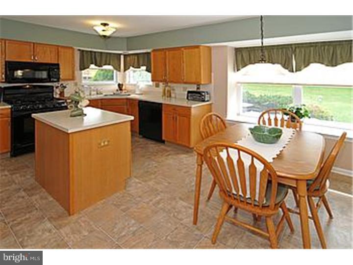 115 Strassburger Road Perkasie, PA 18944 - Photo 8 of 25 Kitchen