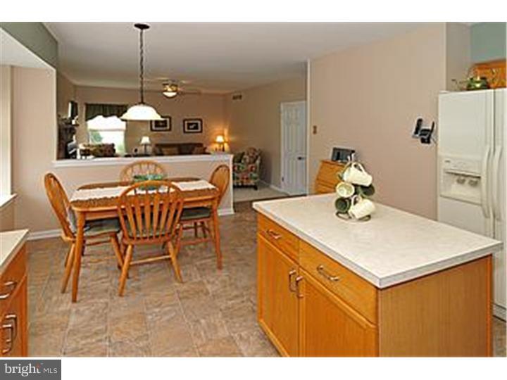 115 Strassburger Road Perkasie, PA 18944 - Photo 9 of 25 Kitchen