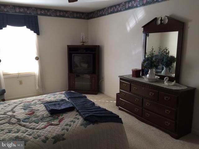 49 Rockford Road Mountville, PA 17554 - Photo 19 of 30 Gallery Image 19