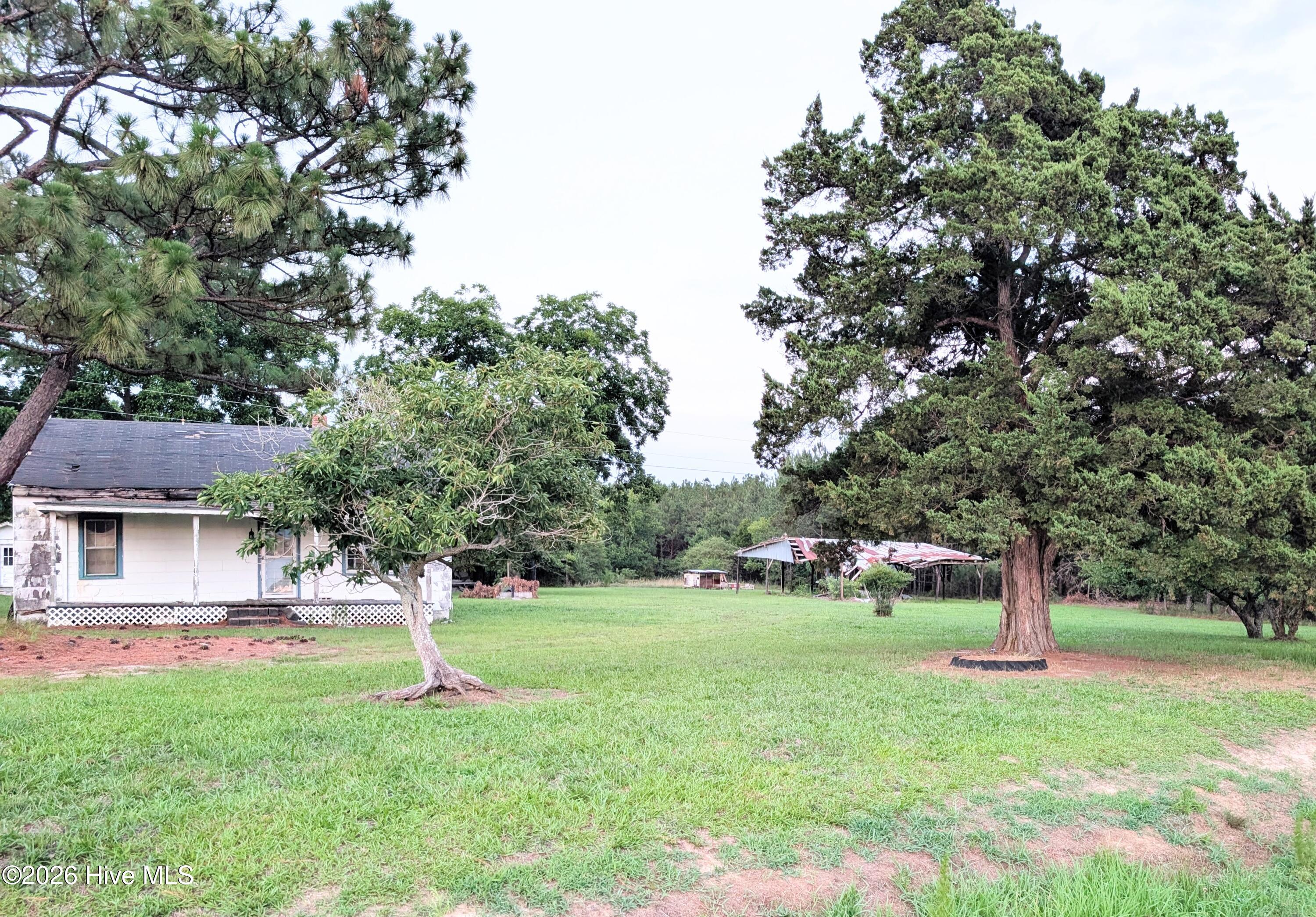 0 Sorietown Road Enfield, NC 27823 - Photo 3 of 5