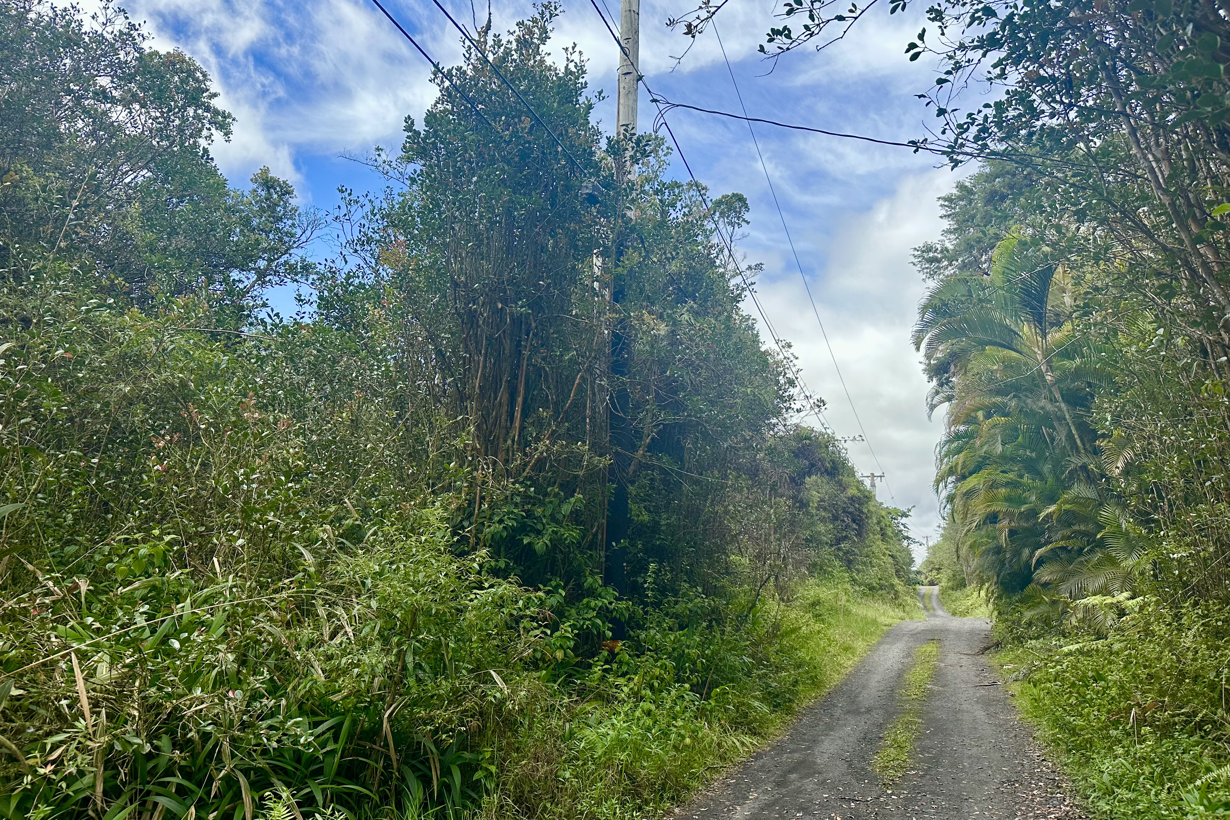 56 Maunalani Tract Road Mountain View, HI 96771 - Photo 1 of 10 a view of a yard