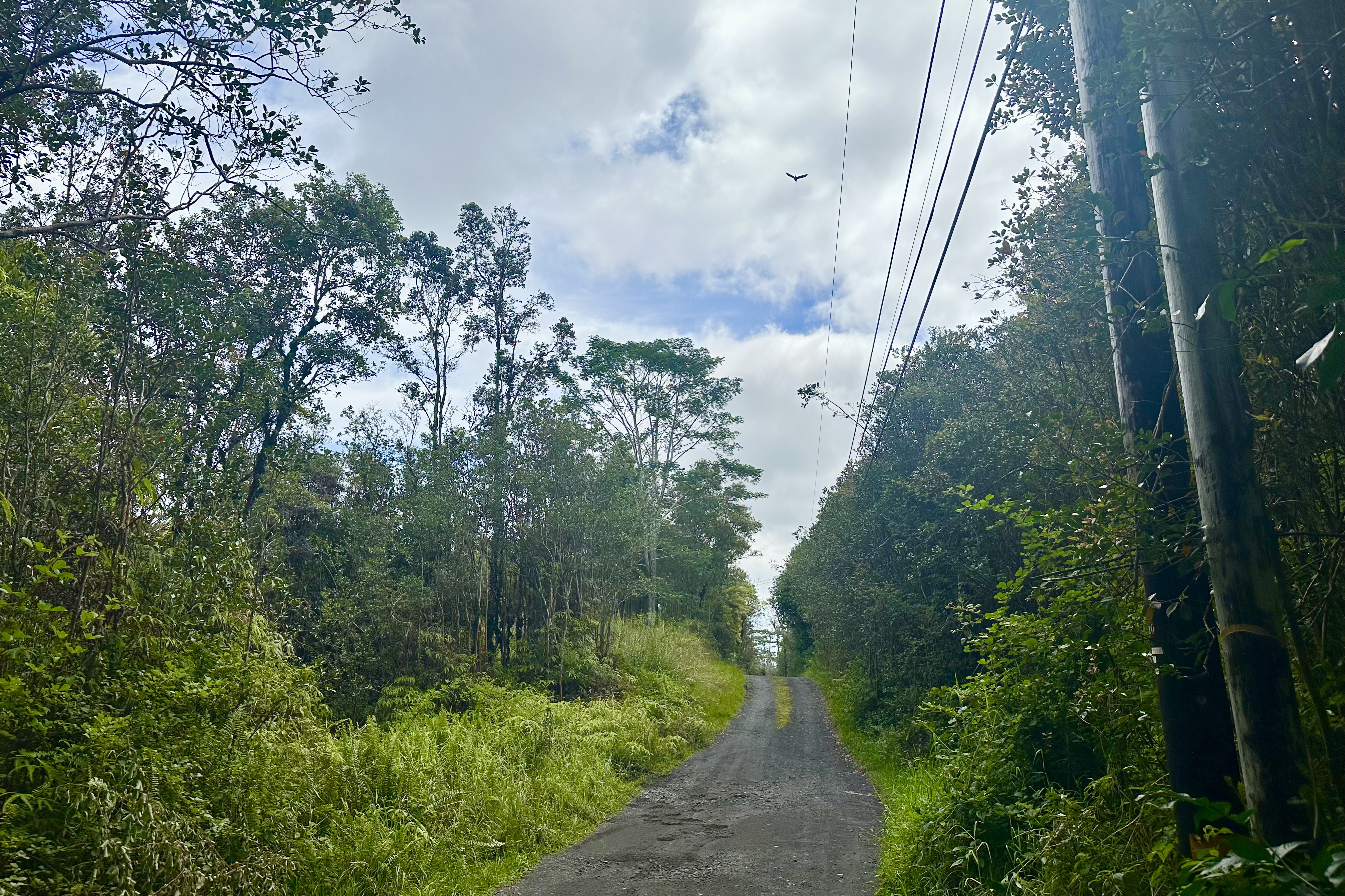 56 Maunalani Tract Road Mountain View, HI 96771 - Photo 3 of 10 a view of a yard