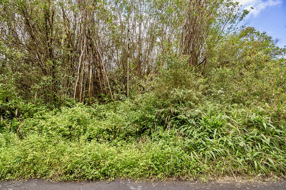 56 Maunalani Tract Road Mountain View, HI 96771 - Photo 6 of 10 a view of a yard with plants and wooden fence