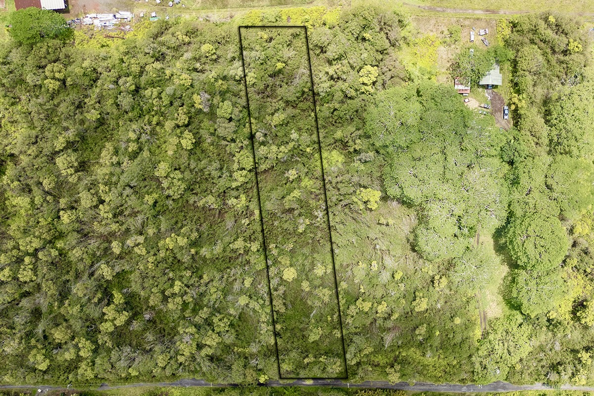 56 Maunalani Tract Road Mountain View, HI 96771 - Photo 7 of 10 a view of a yard