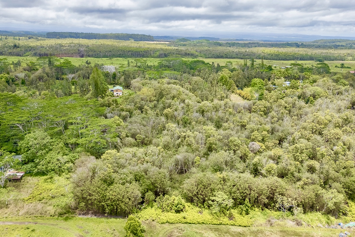 56 Maunalani Tract Road Mountain View, HI 96771 - Photo 8 of 10 a view of an ocean