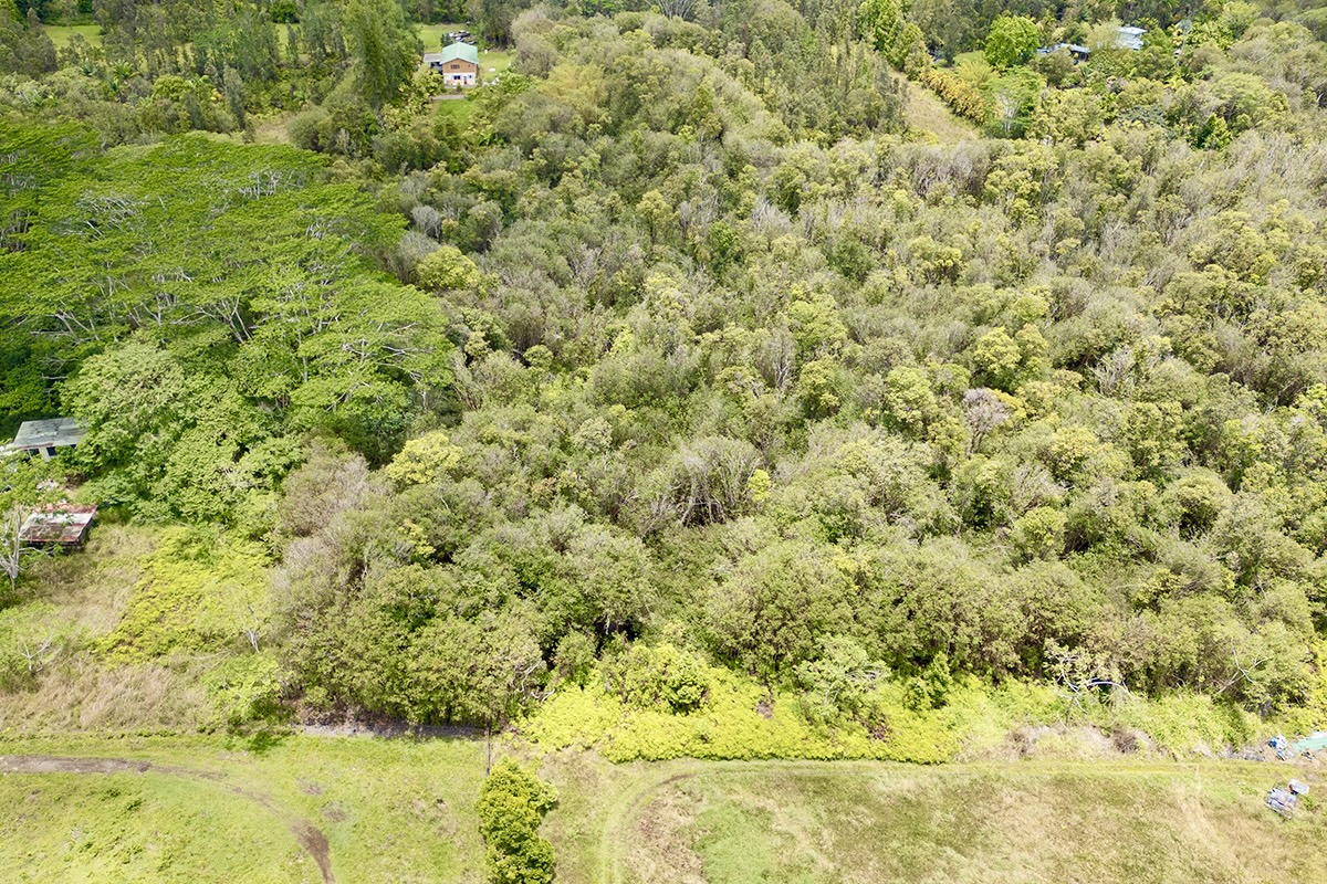56 Maunalani Tract Road Mountain View, HI 96771 - Photo 9 of 10 a view of a yard with a tree