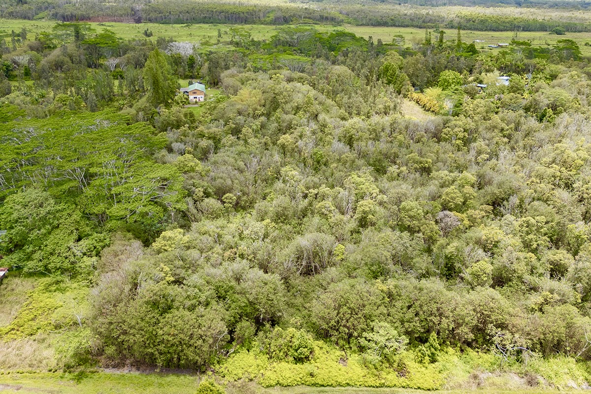 56 Maunalani Tract Road Mountain View, HI 96771 - Photo 10 of 10 a view of a field