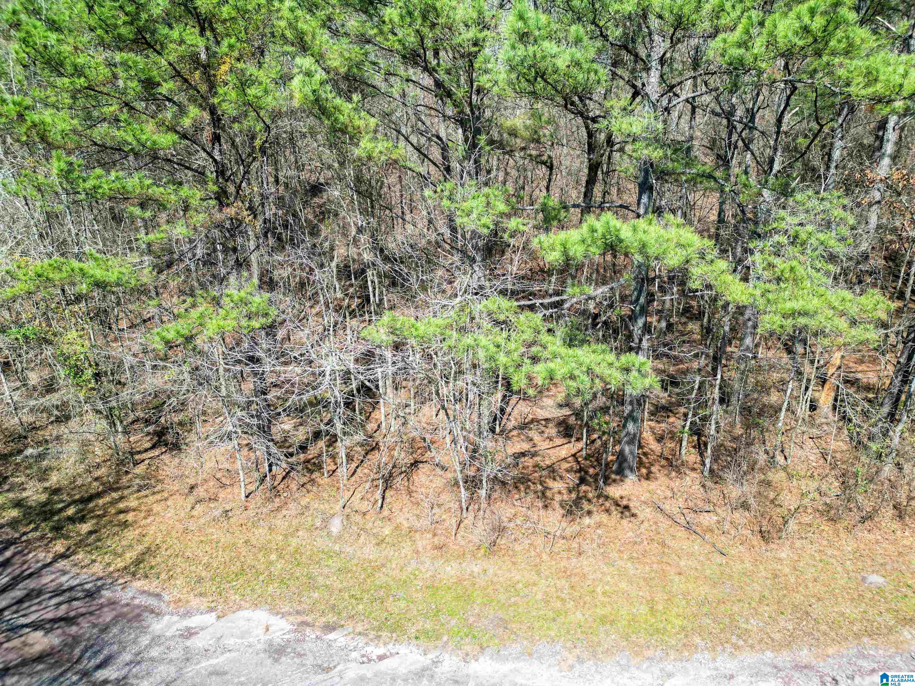 565 Hiawatha Road Calera, AL 35040 - Photo 14 of 27