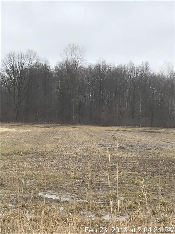 V/l Clark Road New Boston, MI 48164 - Photo 1 of 3