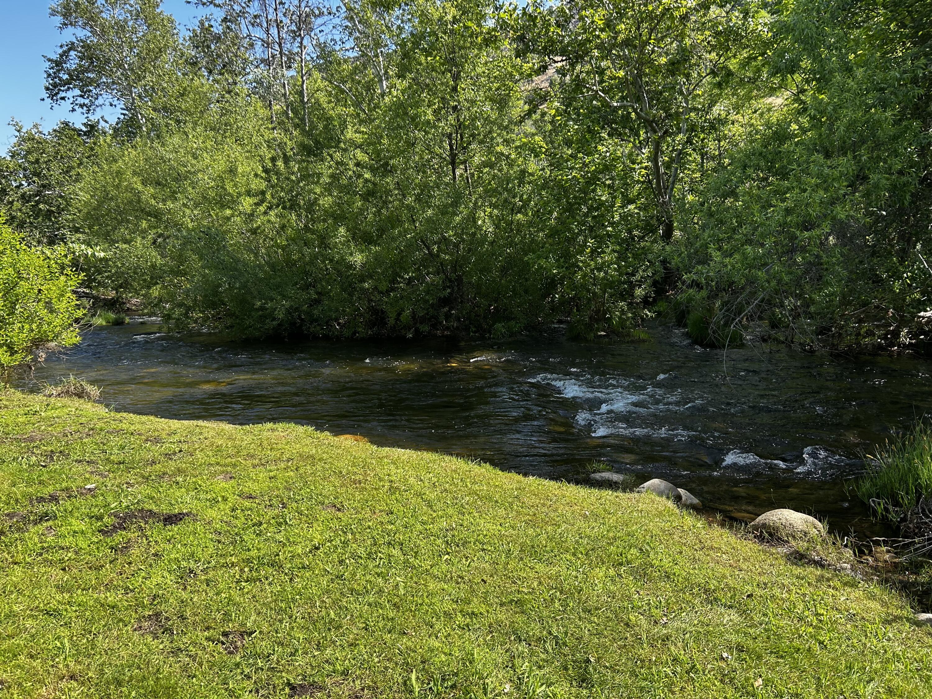 43788 Northfork Drive Three Rivers, CA 93271 - Photo 12 of 59 IMG_1053