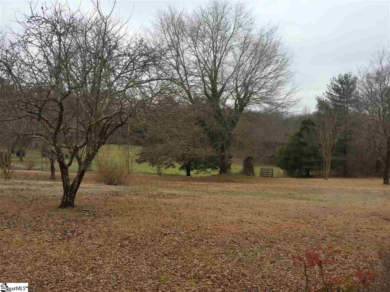 0 River Road, Unit LOT C Fair Play, SC 29643 - Photo 6 of 7 Gallery Image 6