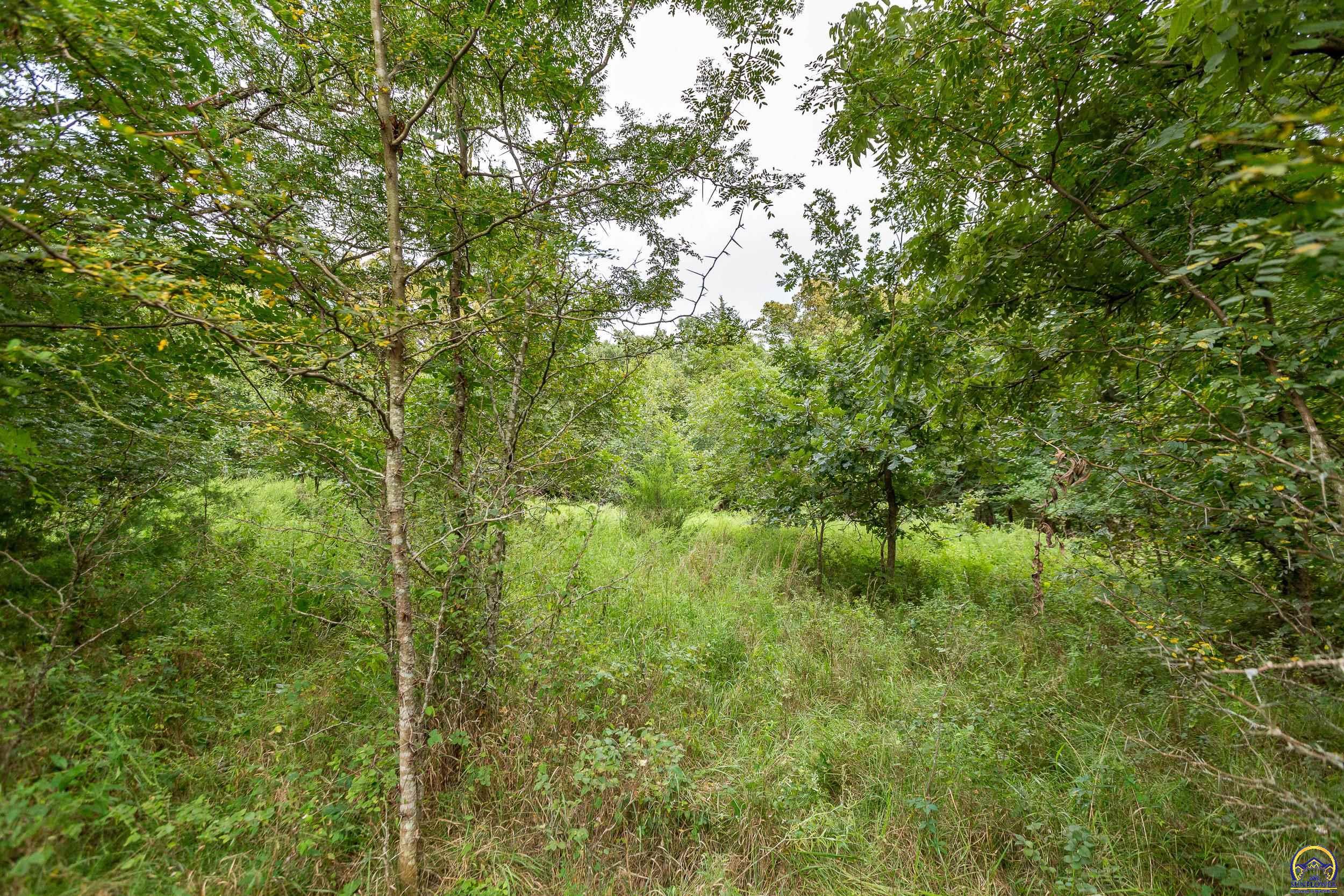 0 198th Road Holton, KS 66436 - Photo 69 of 94 Gallery Image 69