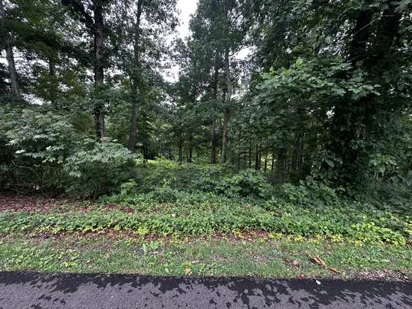 $29,000 | 196 Fairway Circle, Loretto, TN 38469