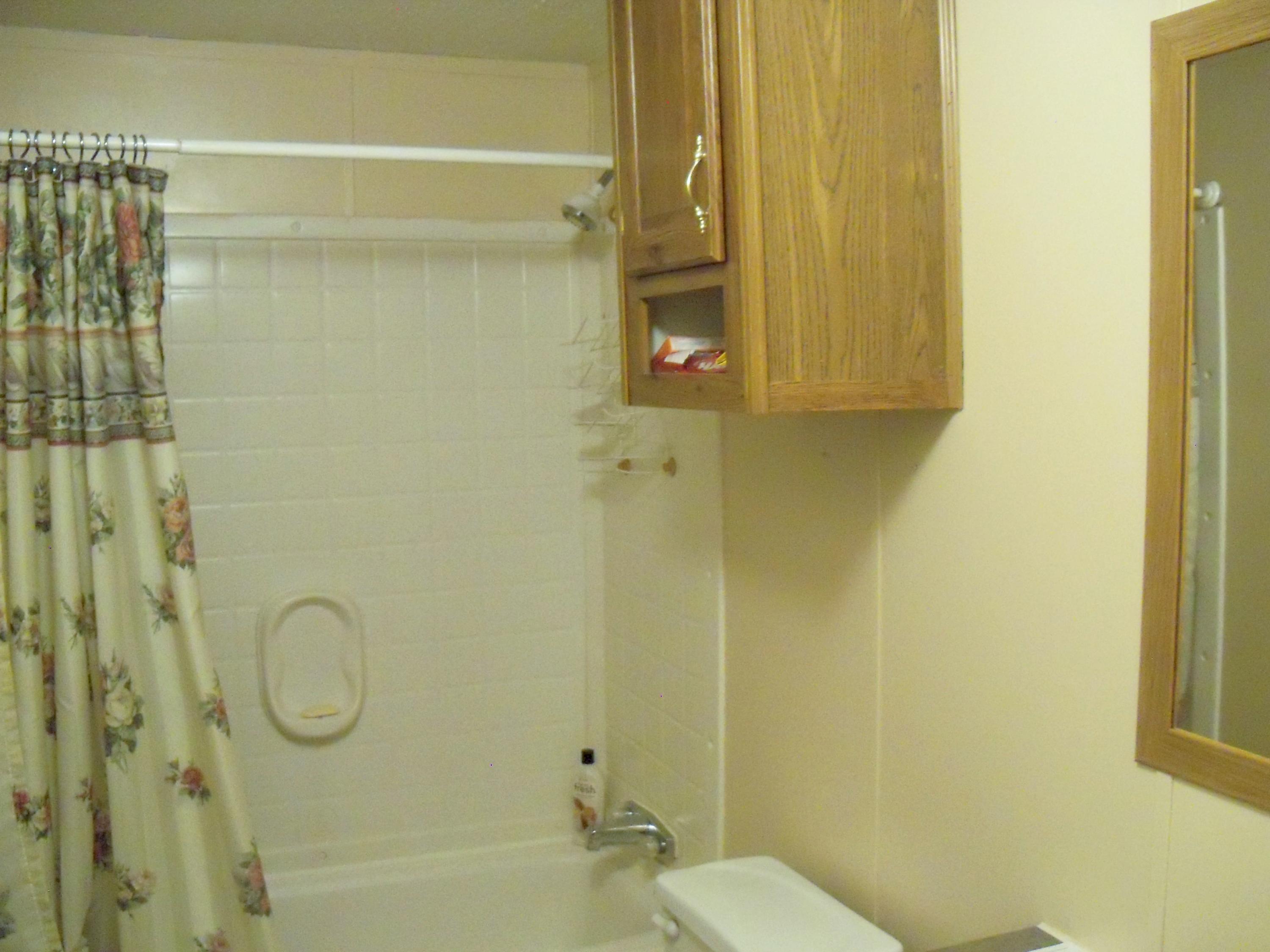 798 Maple Branch Road Sparta, TN 38583 - Photo 17 of 23 Guest Bath