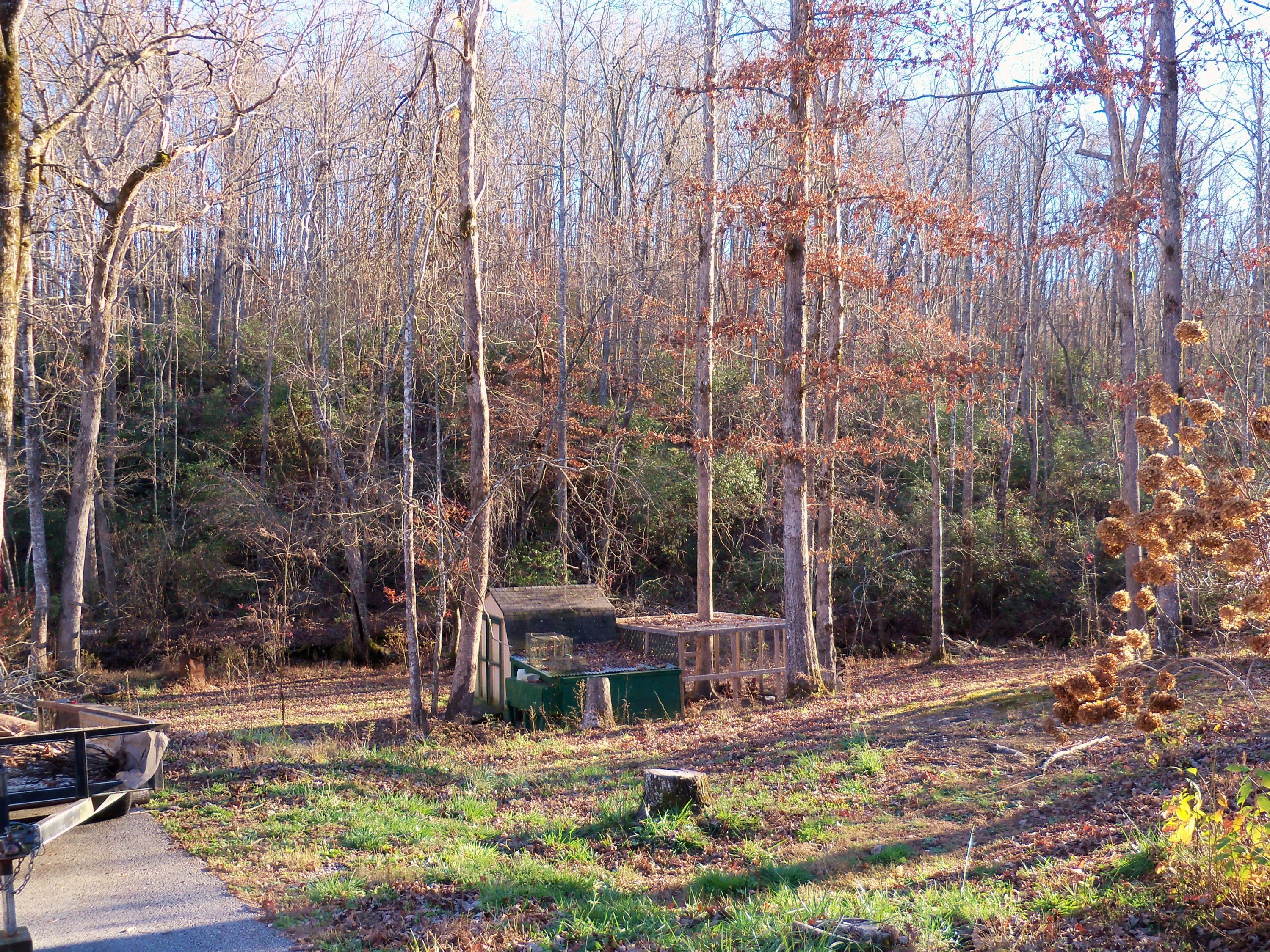 798 Maple Branch Road Sparta, TN 38583 - Photo 21 of 23 Chicken coop