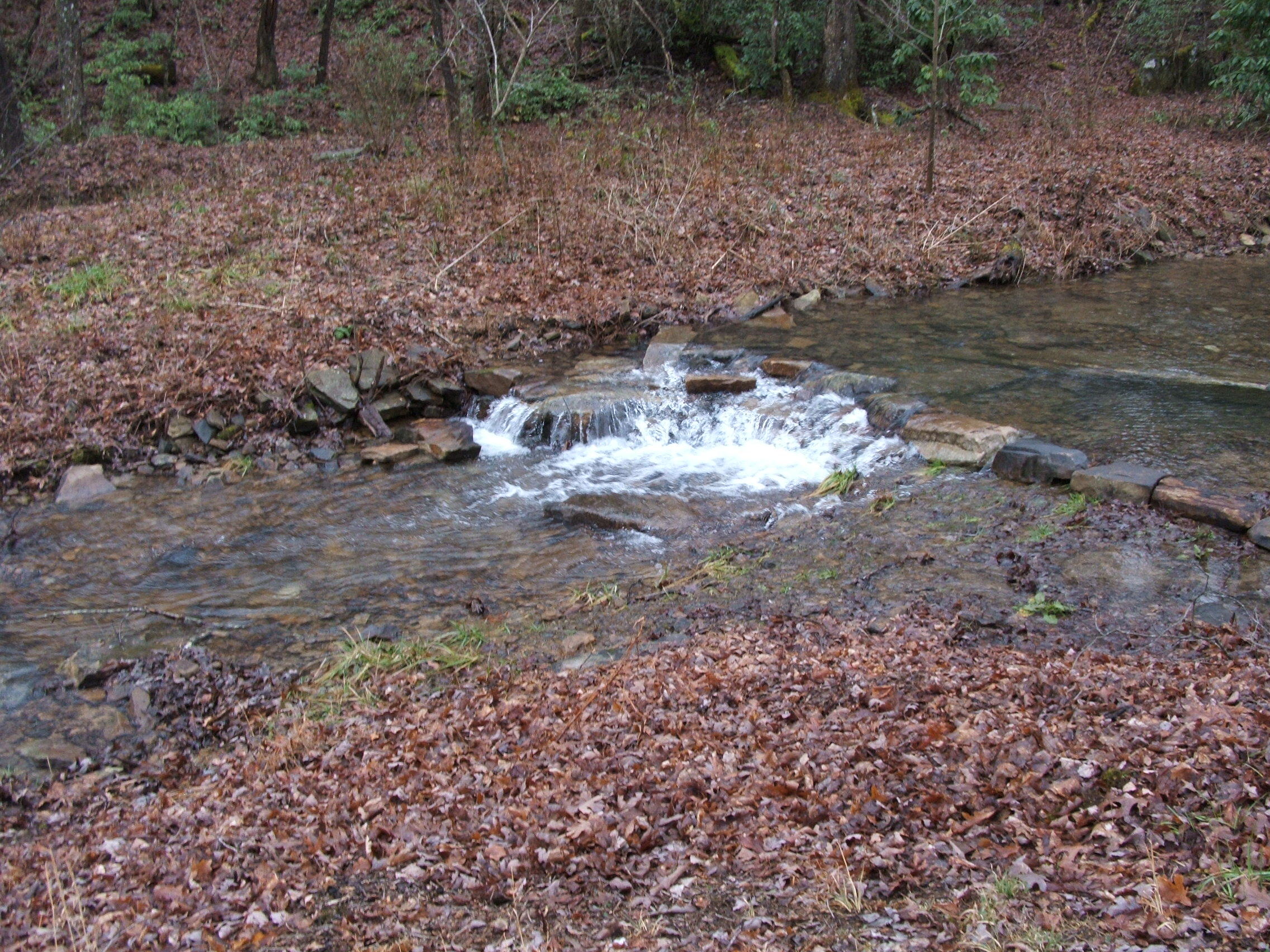 798 Maple Branch Road Sparta, TN 38583 - Photo 22 of 23 2 Creeks on Property