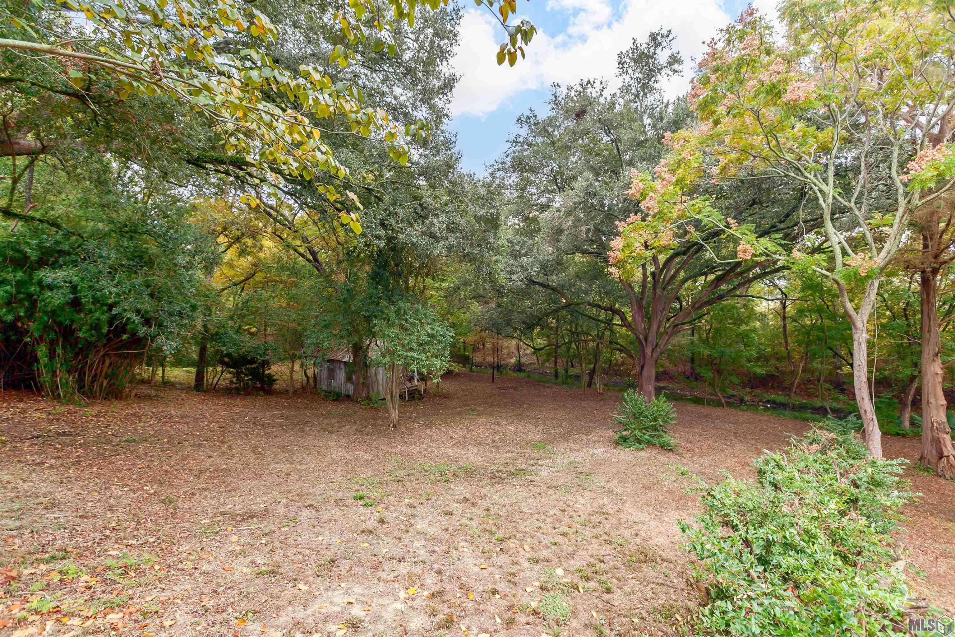 5544 Highland Road Baton Rouge, LA 70808 - Photo 23 of 24 Backyard