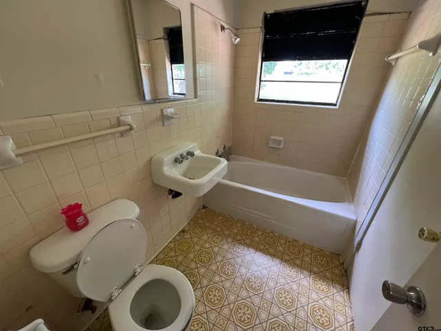 a bathroom with a toilet and a sink