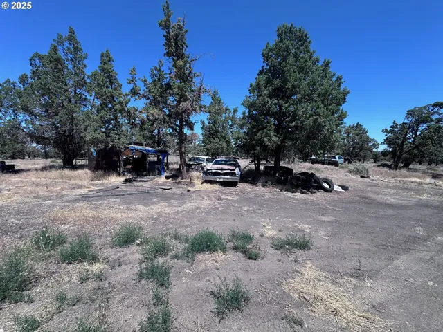a view of a fire pit with large trees