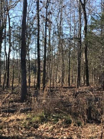 230 Brock Road Chickamauga, GA 30707 - Photo 6 of 7 858DD77E-