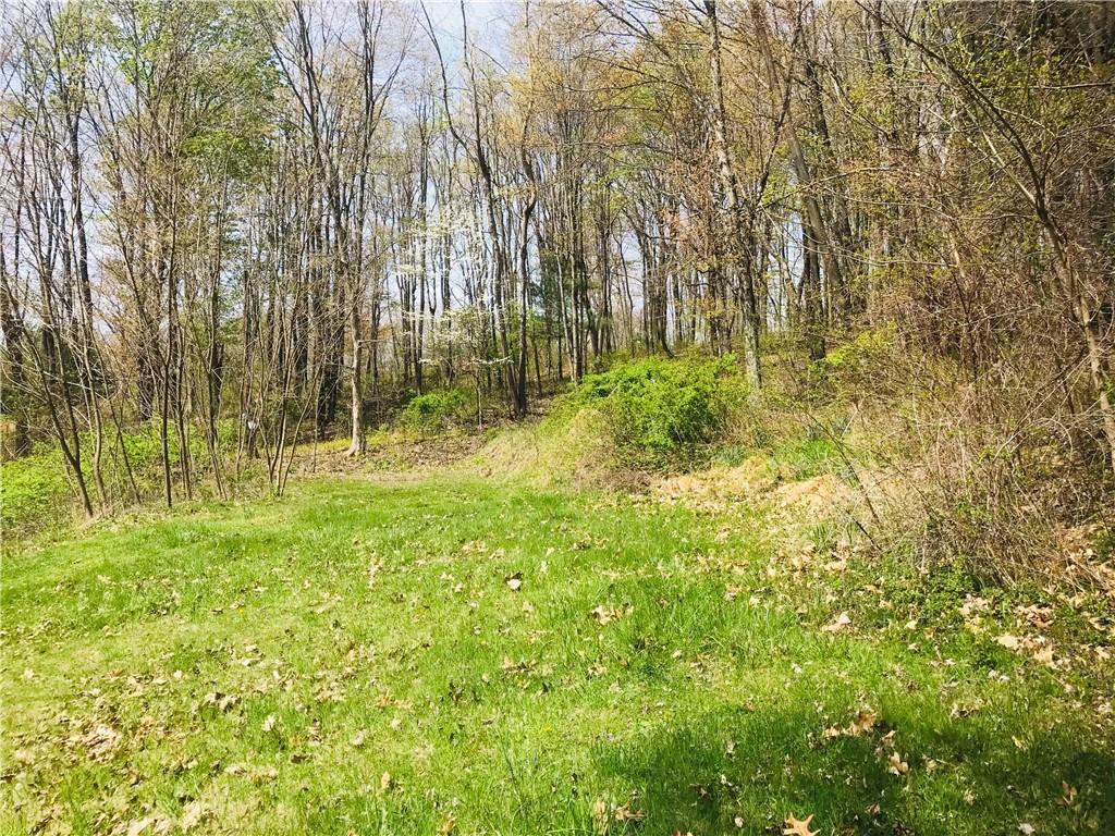 194 Allen Road Beaver Falls, PA 15010 - Photo 8 of 12 Gallery Image 8
