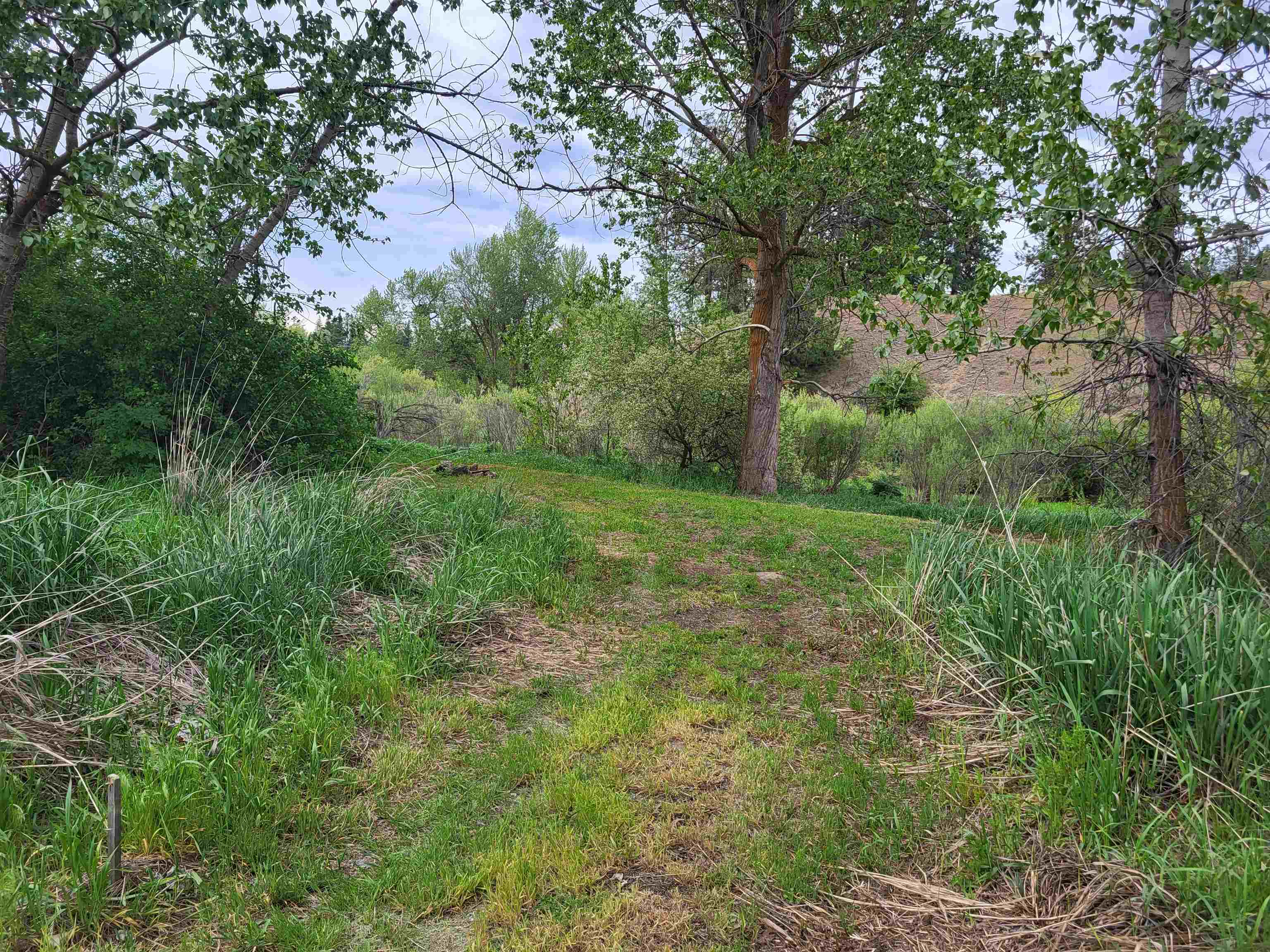 3331 South Inland Empire Way Spokane, WA 99224 - Photo 11 of 24