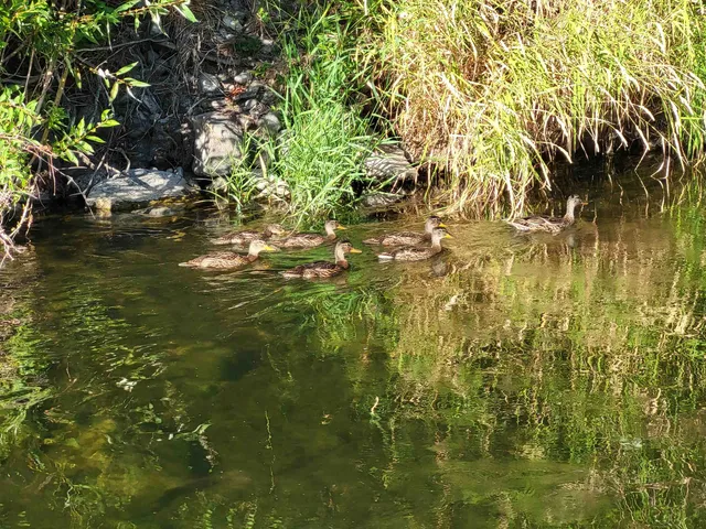 $140,000 | 3331 South Inland Empire Way, Spokane, WA 99224