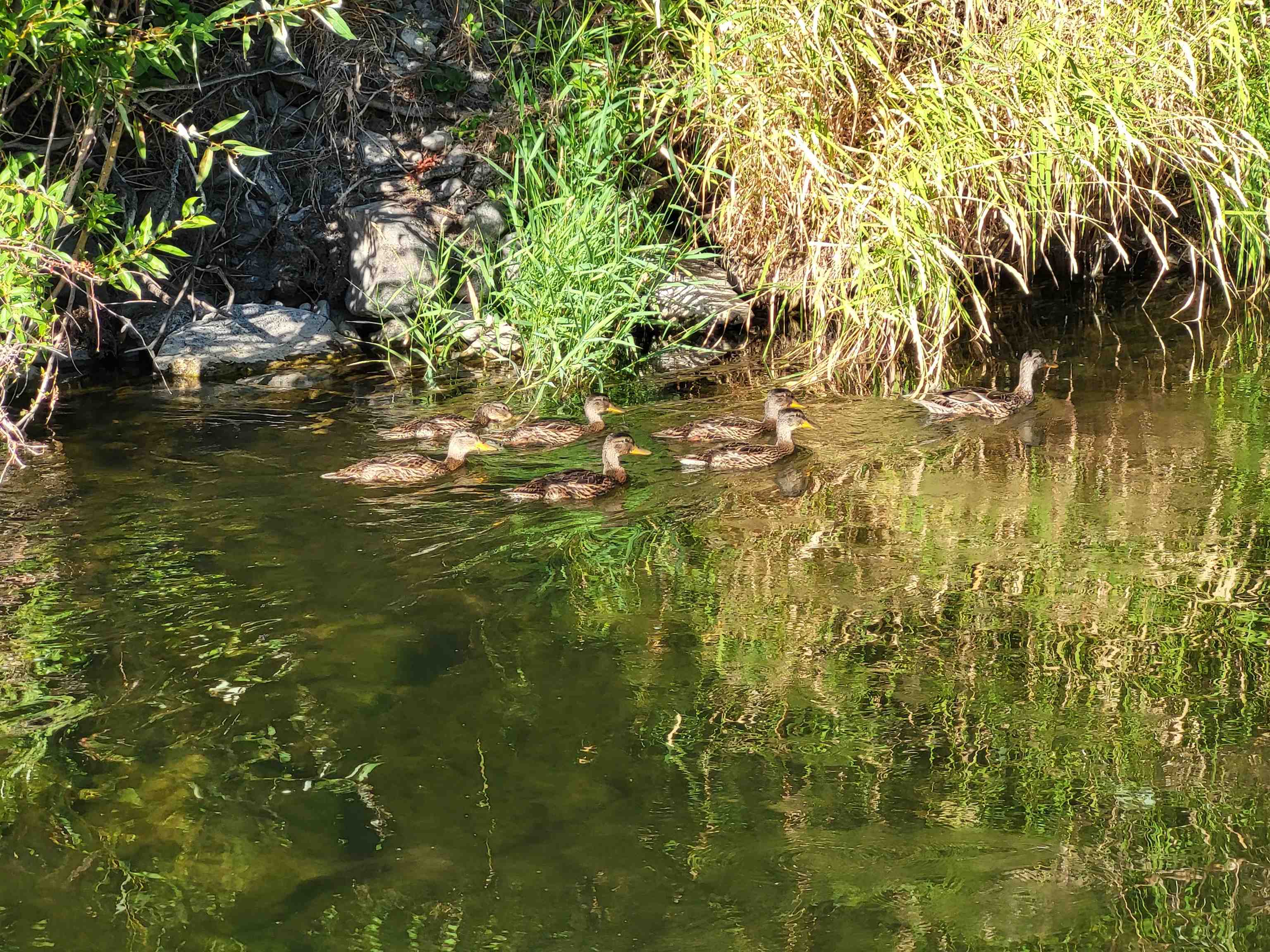 3331 South Inland Empire Way Spokane, WA 99224 - Photo 6 of 24