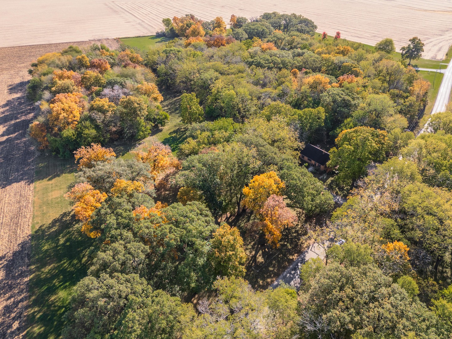 19256 1330 E Road Pontiac, IL 61764 - Photo 13 of 36 a view of a forest