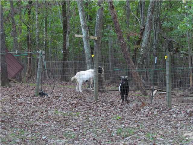1464 Jackson Point Road Sewanee, TN 37375 - Photo 12 of 14 Additional Photo