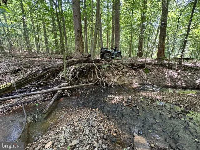 a view of a backyard with trees