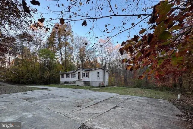 a big yard with trees