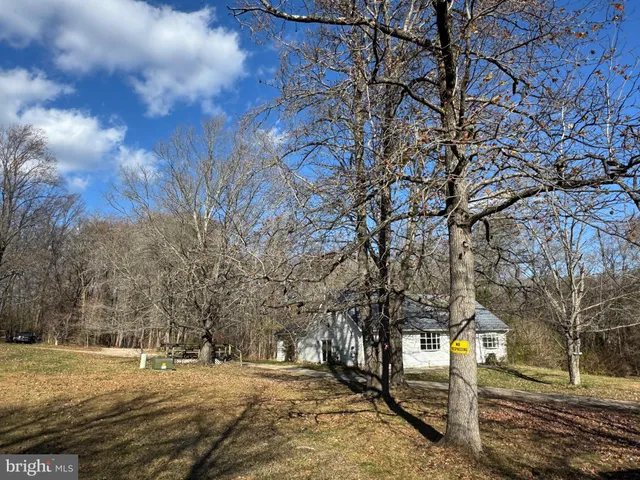 a view of dirt yard with a large tree