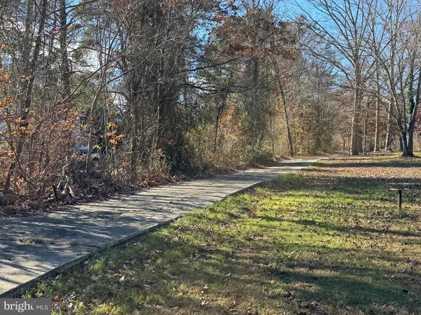 a view of a pathway with a tree