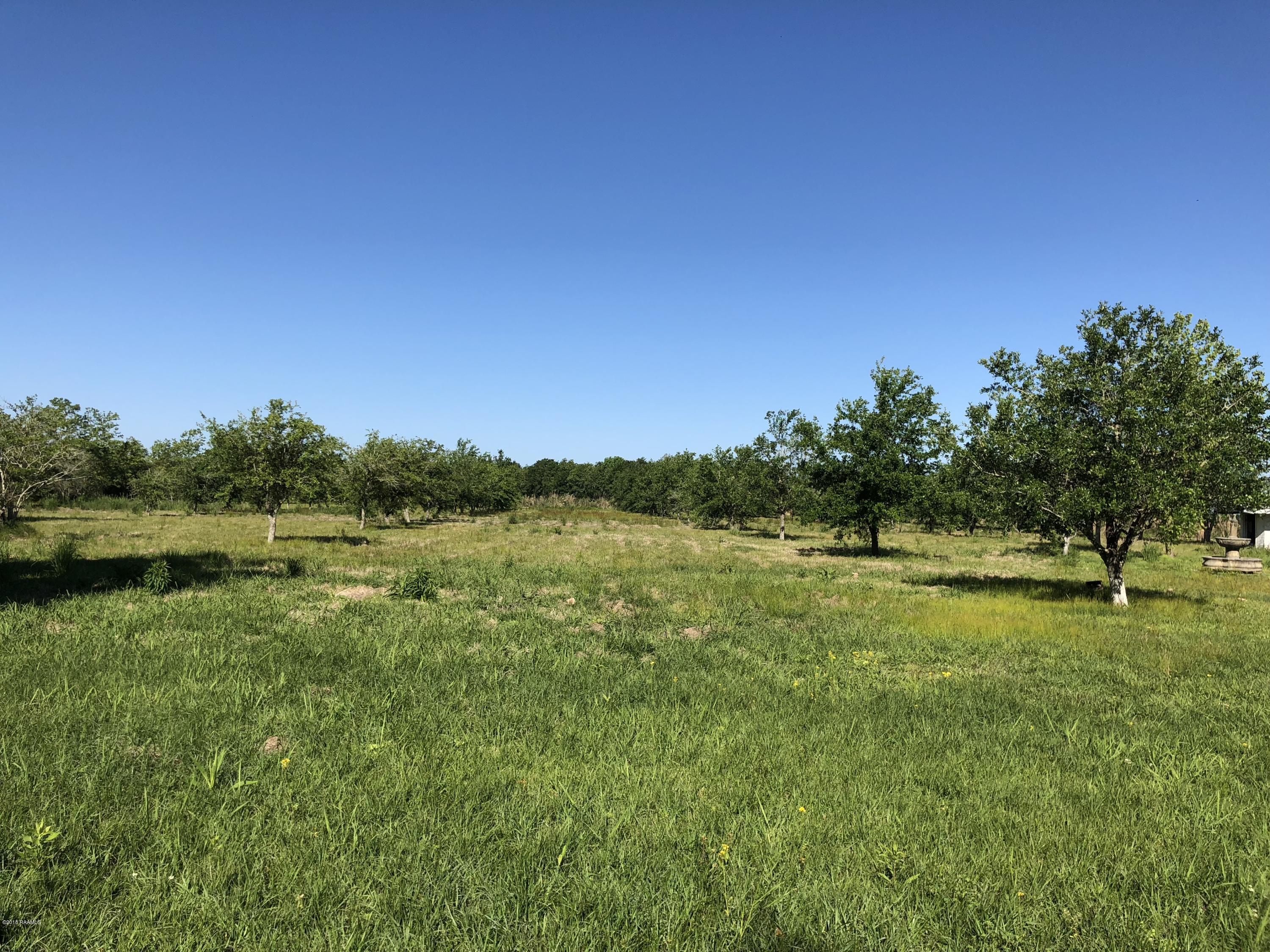 697 Mamou Prairie Road Basile, LA 70515 - Photo 2 of 6 Gallery Image 2