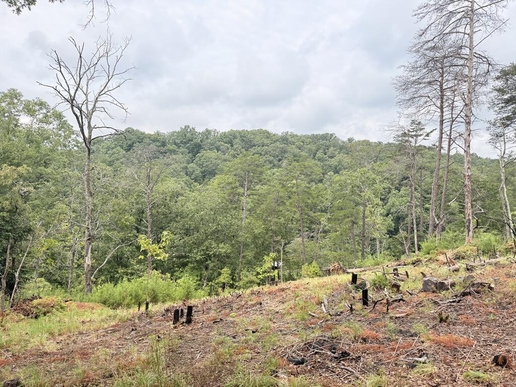 7.58-ac James Ed Road Gainesville, GA 30506 - Photo 17 of 22 Gallery Image 17