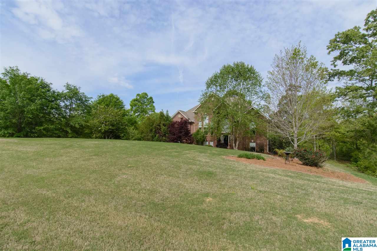 616 Emerald Trace Chelsea, AL 35043 - Photo 4 of 49