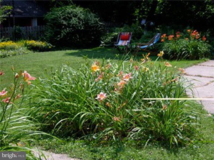 31 St Pauls Road Ardmore, PA 19003 - Photo 25 of 25 Back Yard